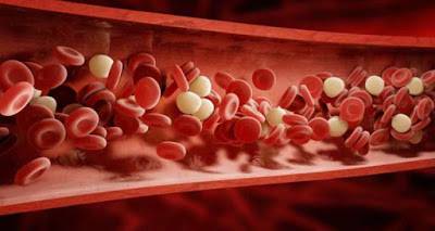 Το πρόβλημα δεν βρίσκεται στην LDL χοληστερόλη, αλλά στην ποσότητα που κυκλοφορεί στο αίμα μας.