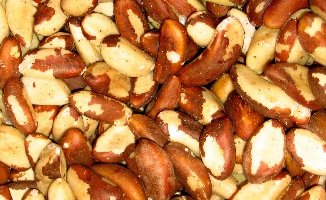 Το σελήνιο βρίσκεται σε τροφές όπως τα Brazilian nuts, τα οποία περιέχουν ιδιαίτερα μεγάλη ποσότητα και μόνο 25 γραμμάρια αρκούν για να καλύψουν τις ημερήσιες ανάγκες του οργανισμού μας.