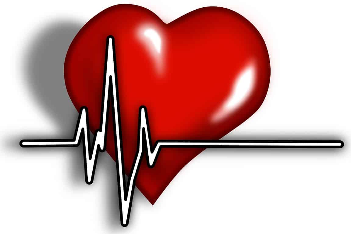 Η καρδιά είναι το όργανο που λειτουργεί περισσότερο απ’όλα στο ανθρώπινο σώμα.