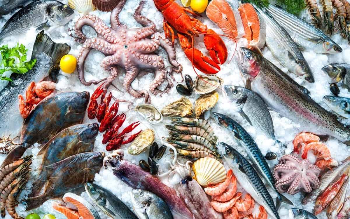Τα ψάρια και τα θαλασσινά αποτελούν βασική πηγή πρωτεϊνών υψηλής βιολογικής, βιταμίνης D, ψευδάργυρου και σελήνιου και σιδήρου.