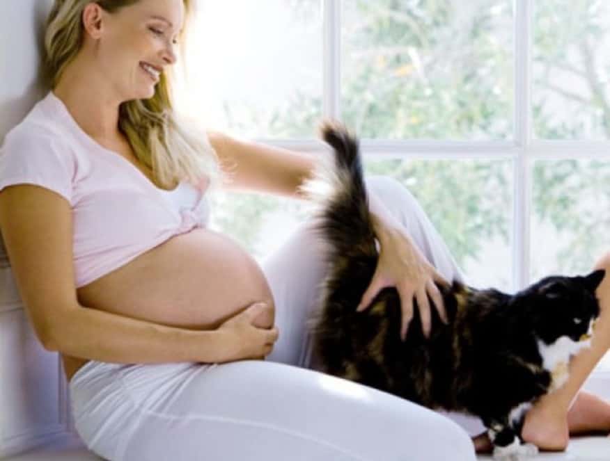 Όταν μία γυναίκα μείνει έγκυος, συχνά δέχεται πιέσεις από το οικογενειακό περιβάλλον είτε από κάποιους λιγότερο ενημερωμένους γυναικολόγους να ξεφορτωθεί τα αγαπημένα της κατοικίδια.1